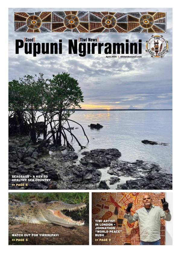 Pupuni Ngirramini